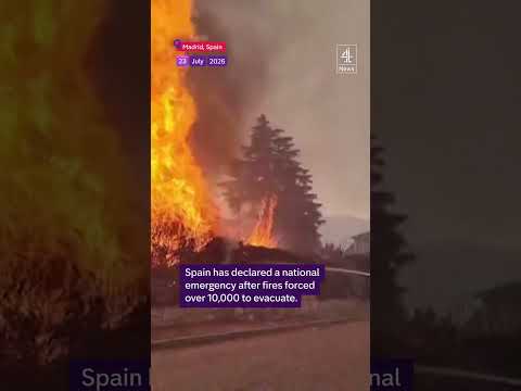 Europe wildfires: France orders evacuations as Spain declares national emergency
