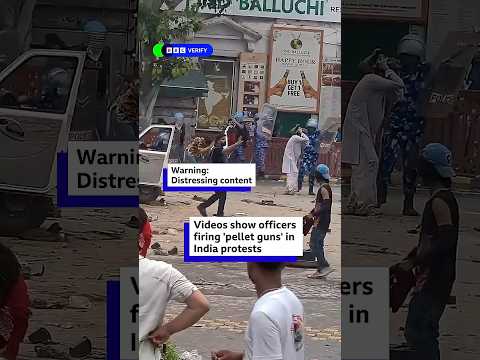Videos show officers firing ‘pellet guns’ in India protests. #CockroachJantaParty #BBCNews