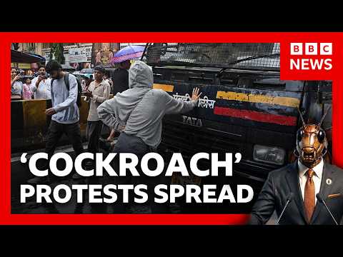 India’s cockroach protests: Modi breaks silence and hunger strike ends | BBC News