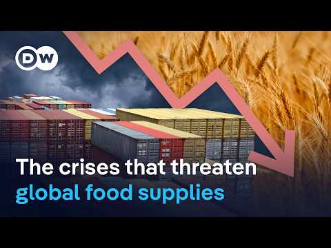 Record harvests but millions go hungry | DW News