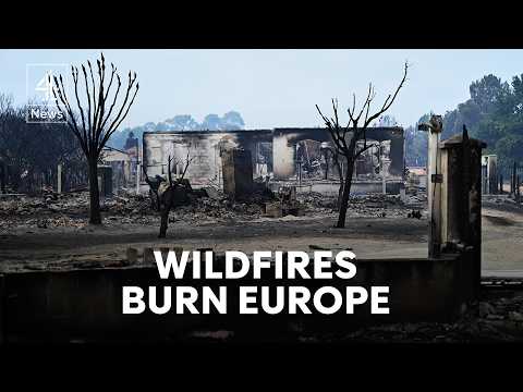 Quarter of a million people flee wildfires in Southern Europe