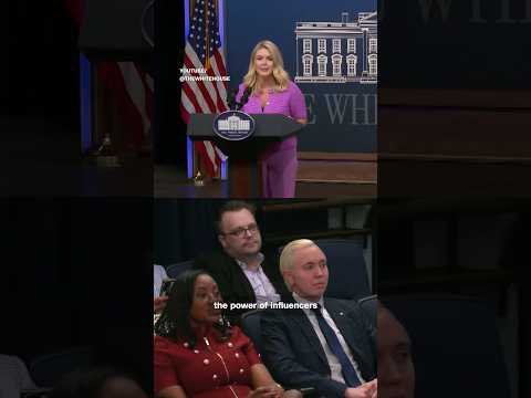 Influencers are shaping politics more than ever