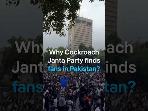 Why Cockroach Janta Party finds fans in Pakistan? | DW News