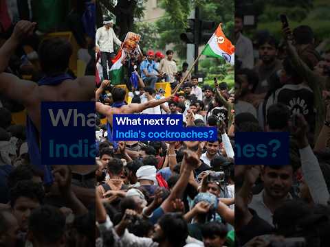 Where does India’s Cockroach movement go from here? | DW News