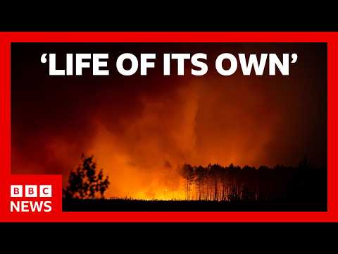 Spanish PM says wildfires are a ‘painful expression’ of climate emergency | BBC News
