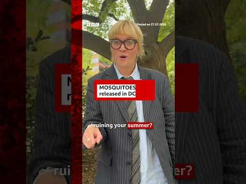 600,000 mosquitoes released across Washington DC area. #BBCNews