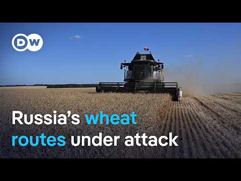 Russia’s grain exports under pressure: Ukraine targets key shipping routes | DW News