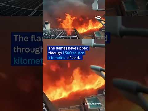 Camera records rapid spread of Spanish wildfire | DW News