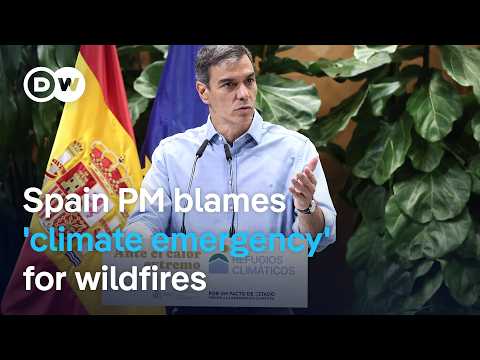 Spain and France struggle to contain blazes as the next heat wave looms | DW News