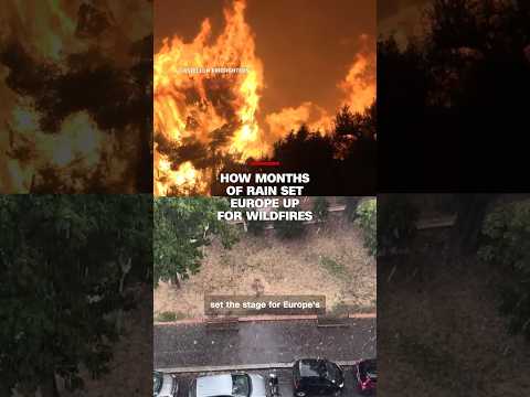 How a wet winter may have fueled Europe’s devastating wildfires