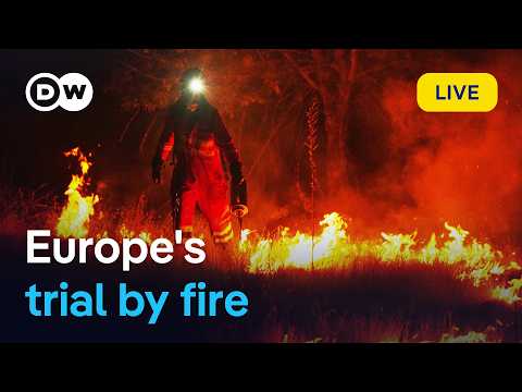 Has Europe lost control of its wildfires? | DW News