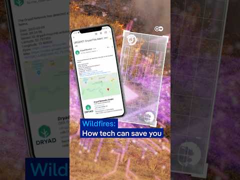 How tech can mitigate wildfires | DW News