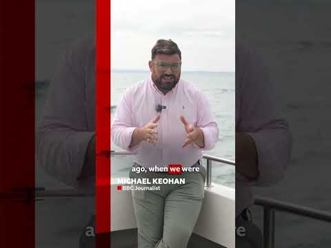 Gunshots interrupt BBC interview with MP in English Channel. #BBCNews