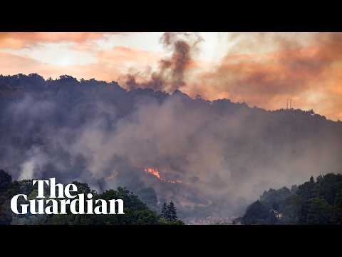 Wildfires rage in parts of France and Spain after record heatwave