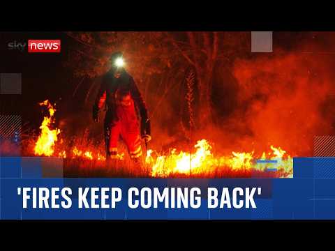 Spain’s emergency crews race against time as heatwave threatens wildfire zones