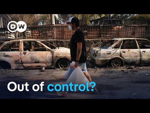 France and Spain race to control fires as new heatwave hits | DW Current Affairs