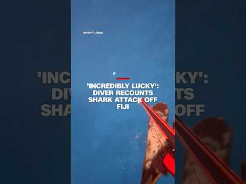 ‘Incredibly lucky’: diver recounts shark attack off Fiji