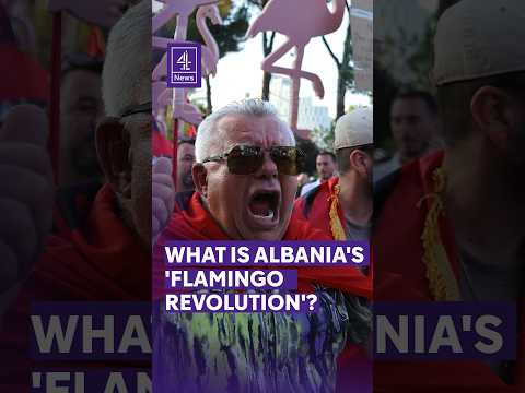 What is Albania’s ‘flamingo revolution’?