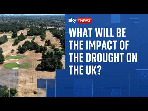 No end in sight to drought conditions as July becomes England’s driest month on record