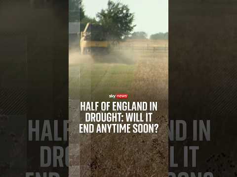 Half of England in drought: will it end anytime soon?