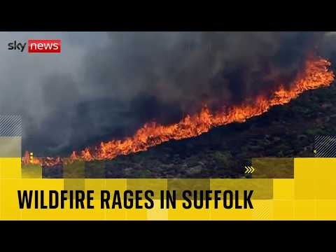 BREAKING: Major incident declared as wildfire rages in Suffolk