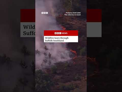 Wildfire tears through Suffolk heathland in England. #Suffolk #Wildfire #BBCNews