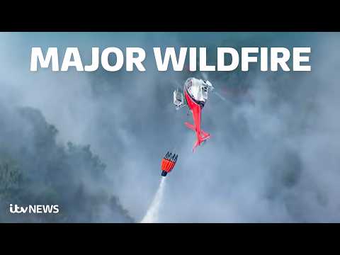 Watch LIVE aerial footage of major wildfire on Suffolk coast