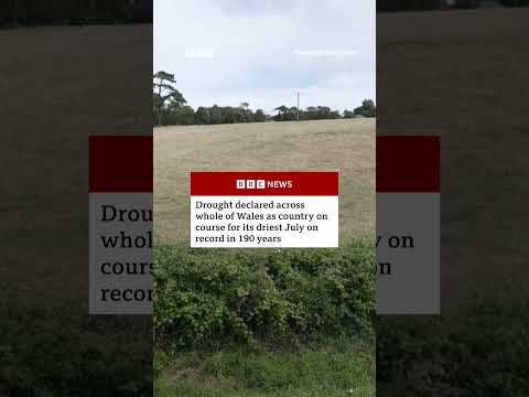 Drought declared across whole of Wales as conditions ‘deteriorate’. #Wales #Weather #BBCNews