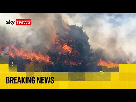 Huge wildfire burns near Suffolk nuclear plant as major incident declared