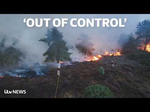 Suffolk wildfire: ‘Major incident’ declared with homes evacuated