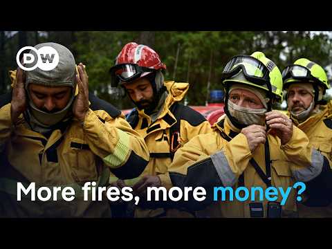 Wildfires spark calls for more EU funds | DW news