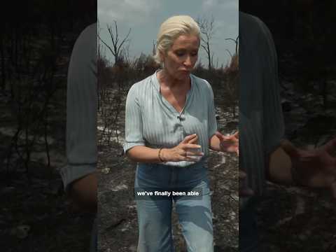 Ground zero of France’s devastating wildfire