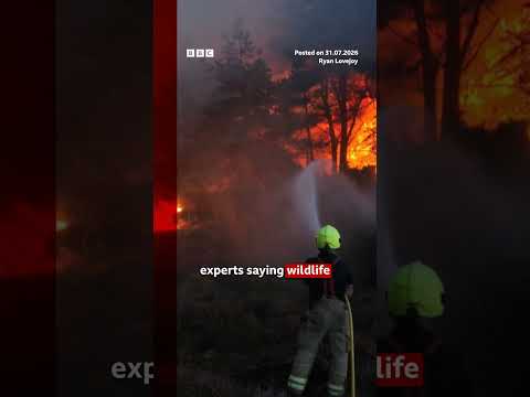Suffolk wildfires ‘stabilising’, say firefighters. #UKNews #Wildfire #BBCNews