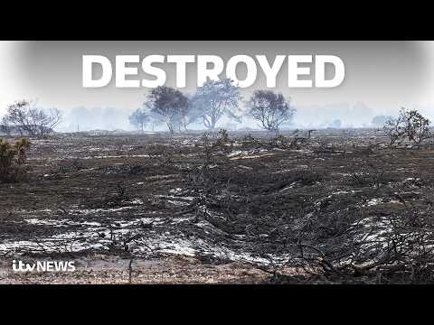 We filmed the scorched aftermath of the Suffolk wildfire