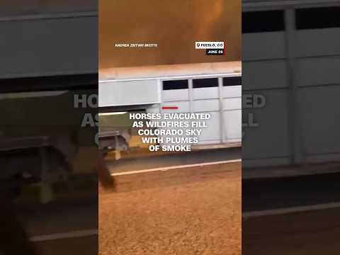 Horses evacuated as wildfires fill Colorado sky with plumes of smoke