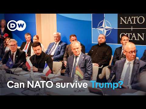 Trump questions NATO support just days before alliance summit | DW News
