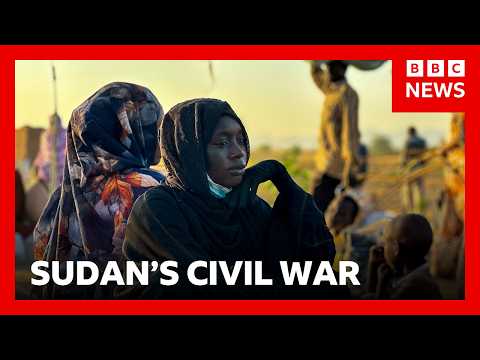 Sudan’s RSF committed crimes against humanity in el-Fasher, Amnesty says | BBC News