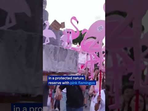 Albanians hold mass anti-government protests for 35th straight day | DW News