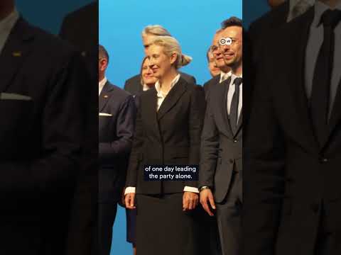 Elections, power and far-right extremists at AfD meeting | DW News