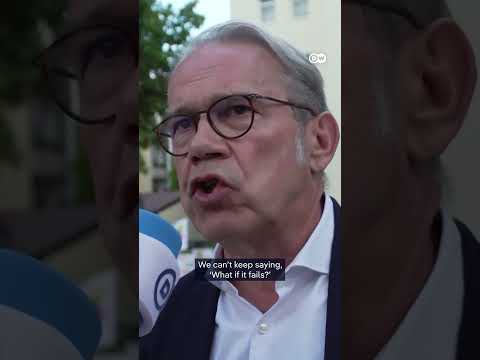 “The window to ban the AfD may be closing” | DW News
