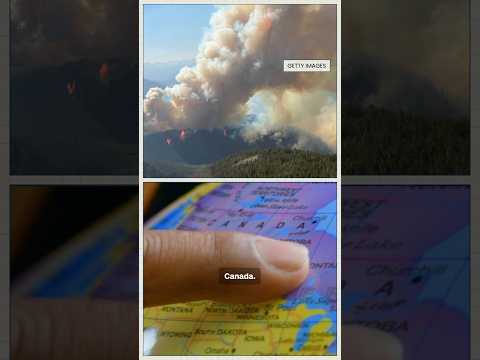 CNN Explains: Wildfires