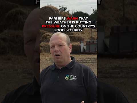 UK farmers WARN that weather is INCREASING pressure on the country’s food security