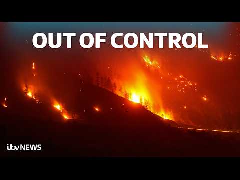 Drought and wildfires: how extreme heat is affecting us globally