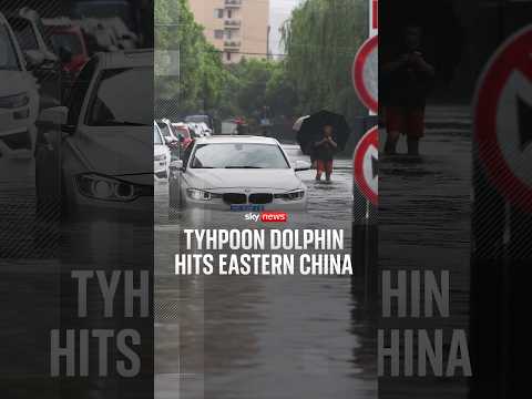 Typhoon Dolphin hits eastern China