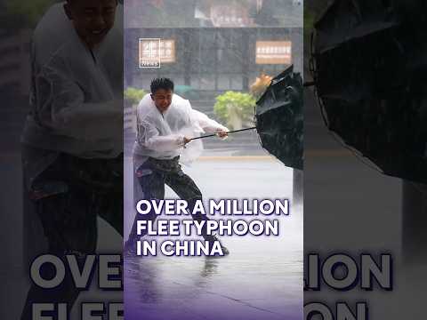 Over a million people flee Typhoon Dolphin in China