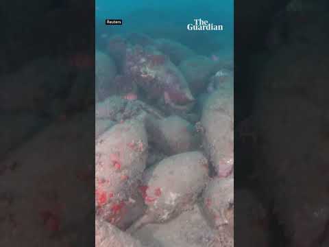 2,100-year-old Roman shipwreck discovered off Sicily coast