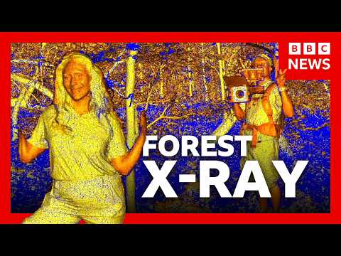 This satellite can see inside forests | BBC News