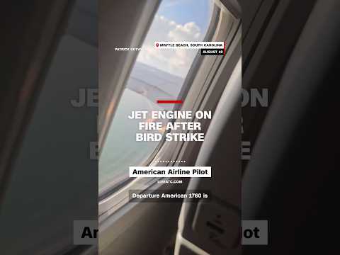 Jet engine on fire after bird strike