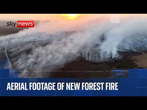 Watch aerial footage of New Forest fire