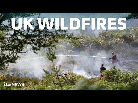 Fires burn across the country as the UK faces it’s hottest summer on record